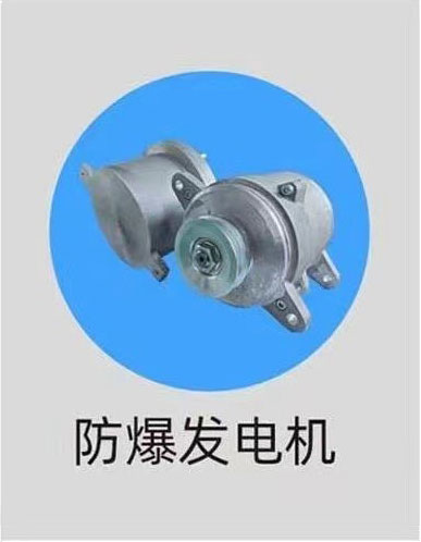 防爆发电机